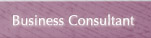 Business Consultant