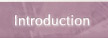 Introduction